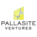 Pallasite Ventures