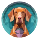 Hungarian Vizsla Inu(HVI)