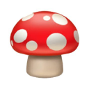 MushroomsFinance（MM）