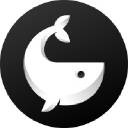 WhaleReports