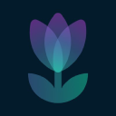 SolFarm（TULIP）