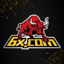 6X Token（XT）