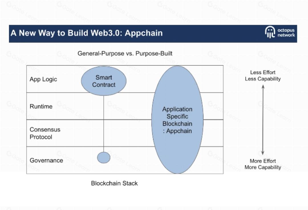 应用链如何成为定制化区块链解决方案的未来趋势