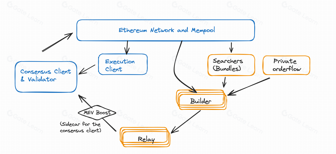 The Evolution and Impact of MEV in Proof-of-Stake Blockchain Ecosystems