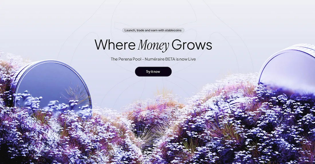 Perena区块链平台简介及其核心功能解析