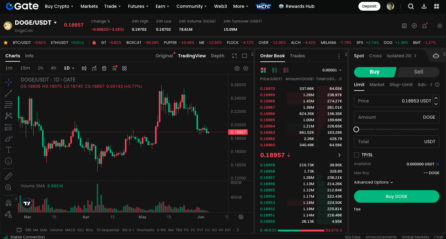 市场紧张加剧 狗狗币逼近关键突破点 价格走势分析