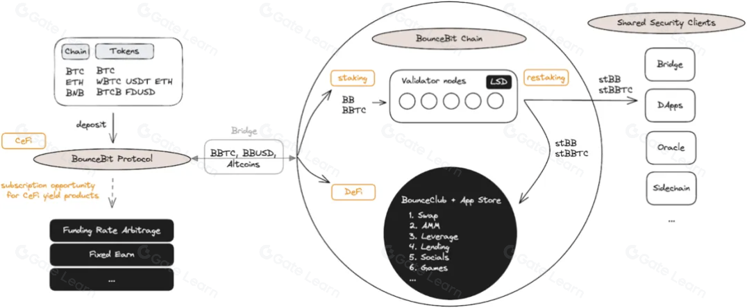 风投机构争相布局的BTC相关公链生态全景解析