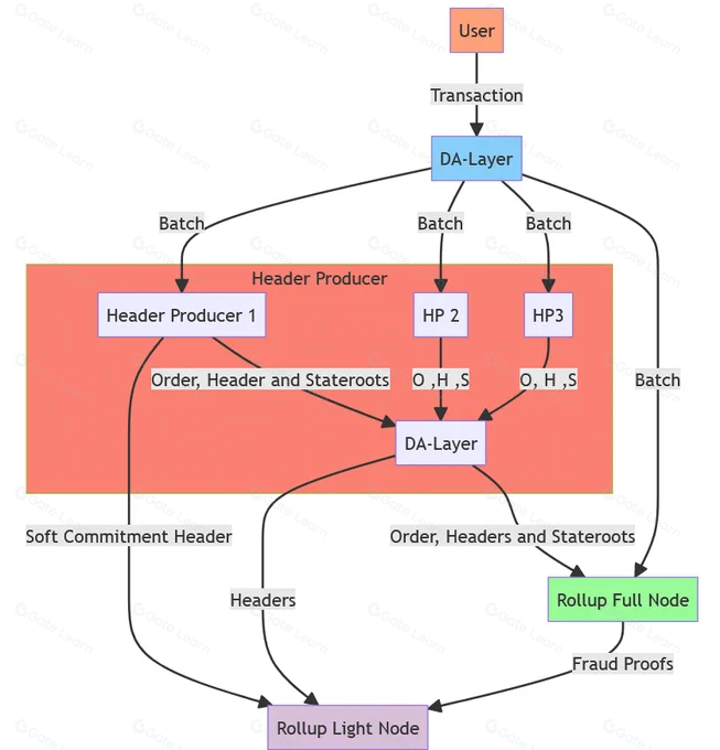 Celestia研究员深度解析Rollup：4种创新Rollup方案全面分析