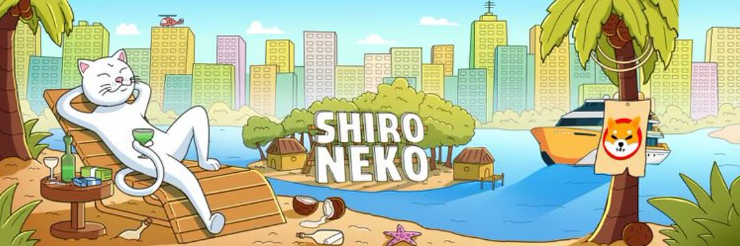 白猫经济学：Shiro Neko 的起源、价值与未来前景