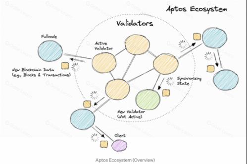 Aptos (APT) 全面解析：项目详情、技术特点与未来展望
