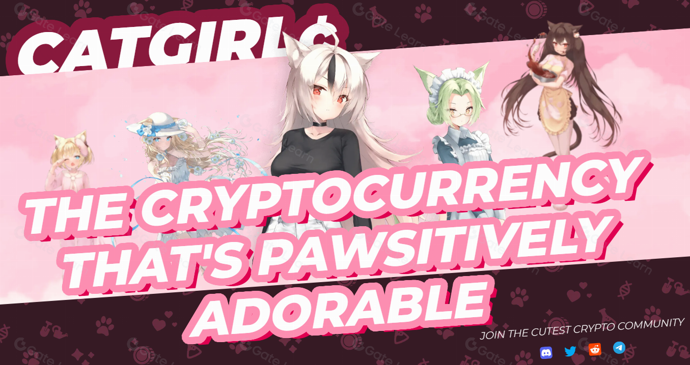 What Is Catgirl? A Complete Guide to the Cryptocurrency