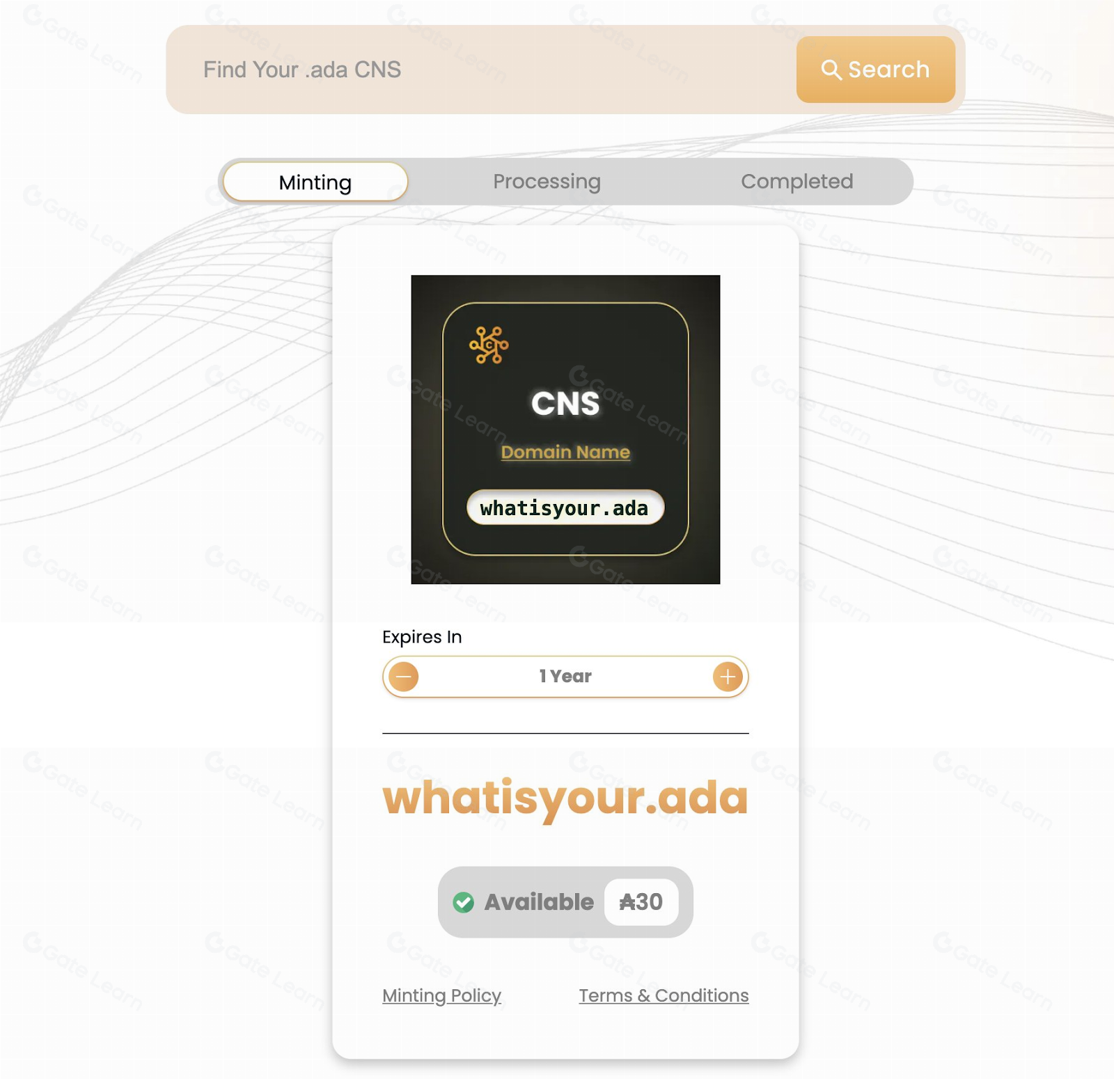 Cardano社交网络平台与域名结合详解及优势分析