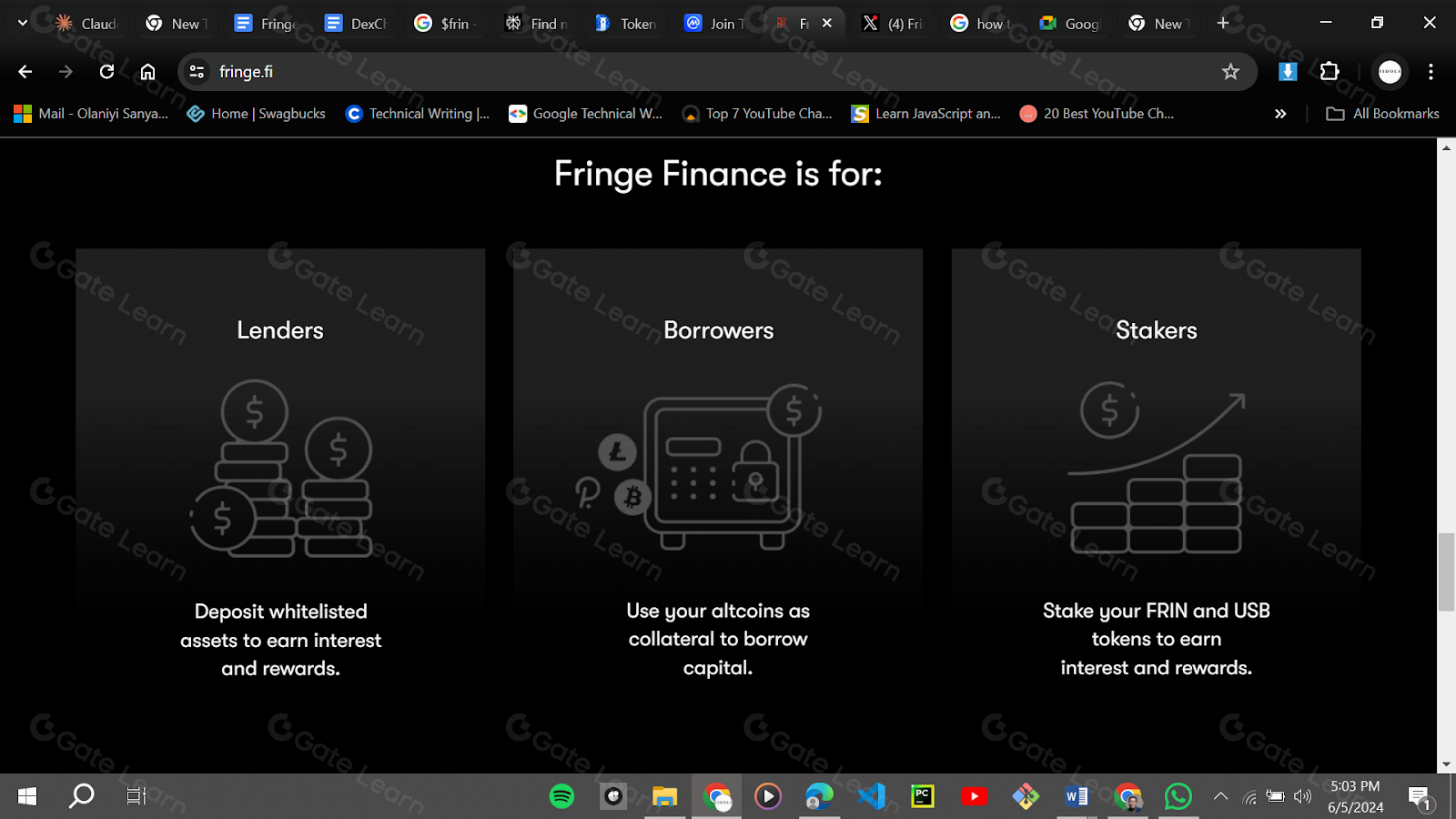 Fringe Finance是什么？FRIN代币全面解析