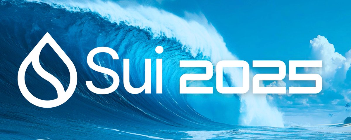 Sui network 最新技术解析与未来发展前景