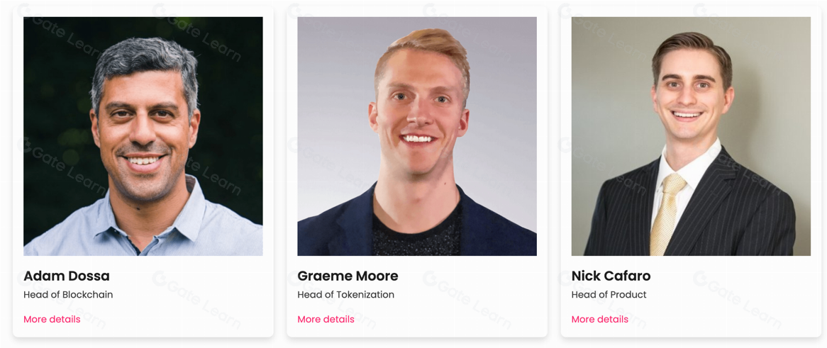 全面解析Polymesh(POLYX)：区块链安全与合规的终极指南