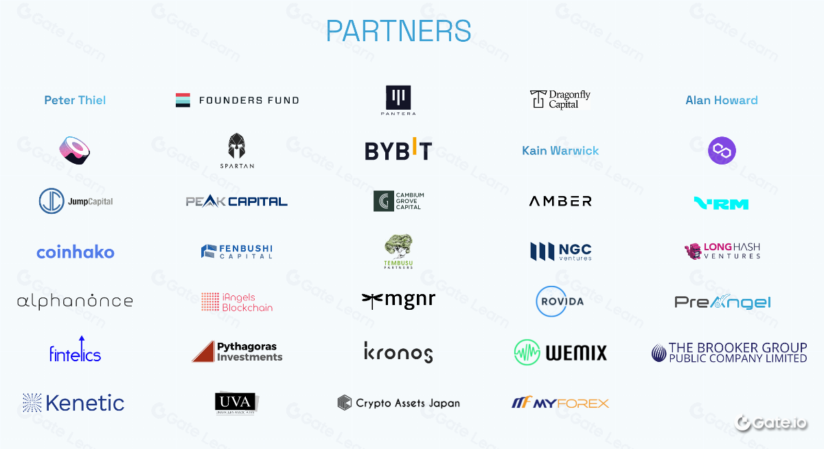 全面解析BitDAO：从入门到精通