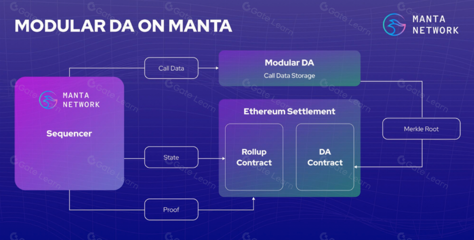 Manta Network 代币经济模型全面解析：价值分配与激励机制