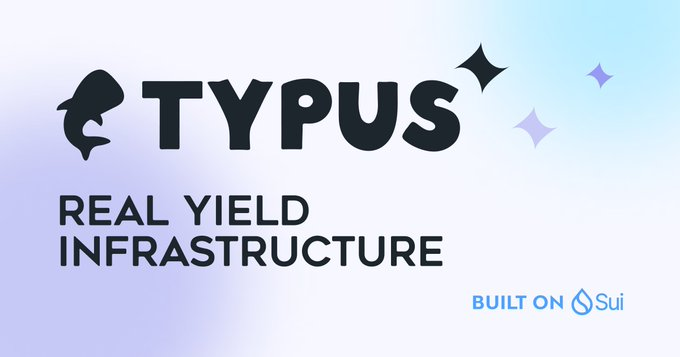 Typus是什么？探索区块链Typus项目的核心功能与优势