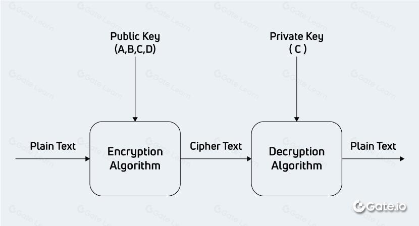 端到端加密(E2EE)的工作原理与优势详解