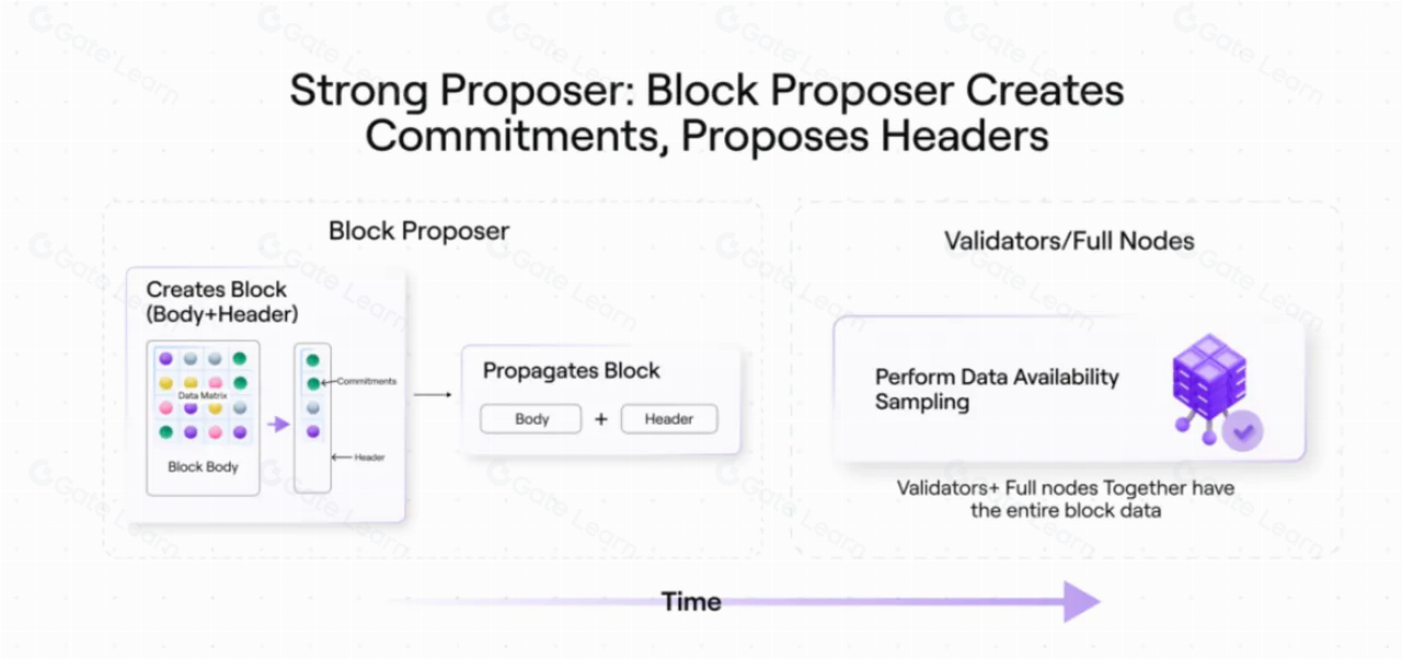 Avail (AVAIL) 区块链项目全面解析：技术特点、应用场景与未来展望