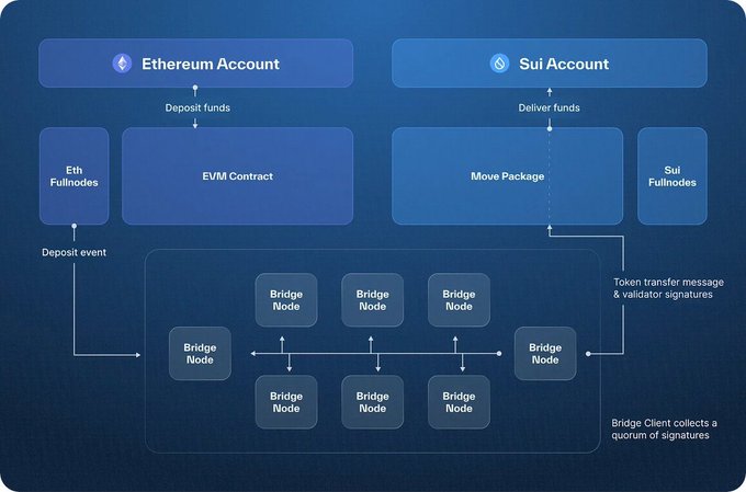 SUI流动性激增：深入解析SUI的流动性与市场影响