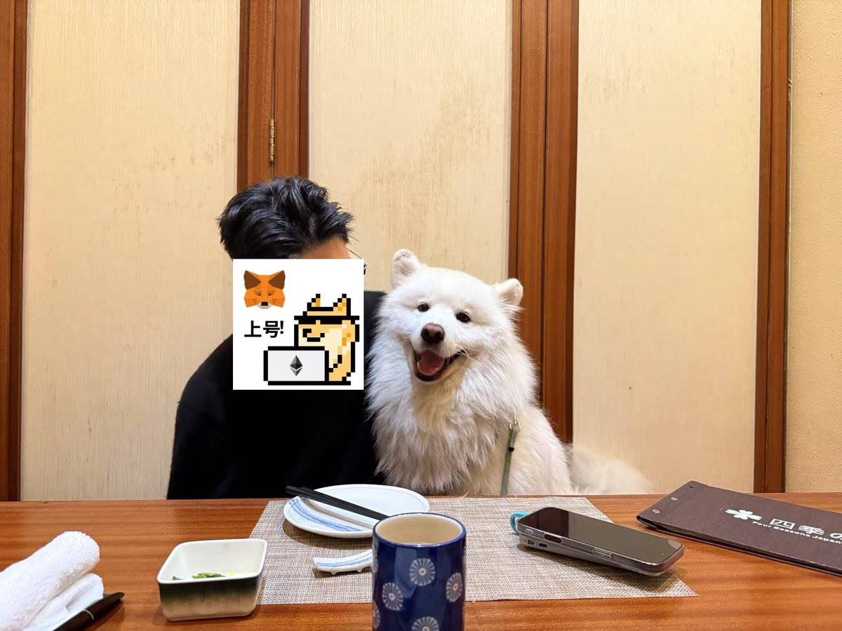 做市商从业者揭秘：区块链项目方如何在黑暗森林法则中生存与自救