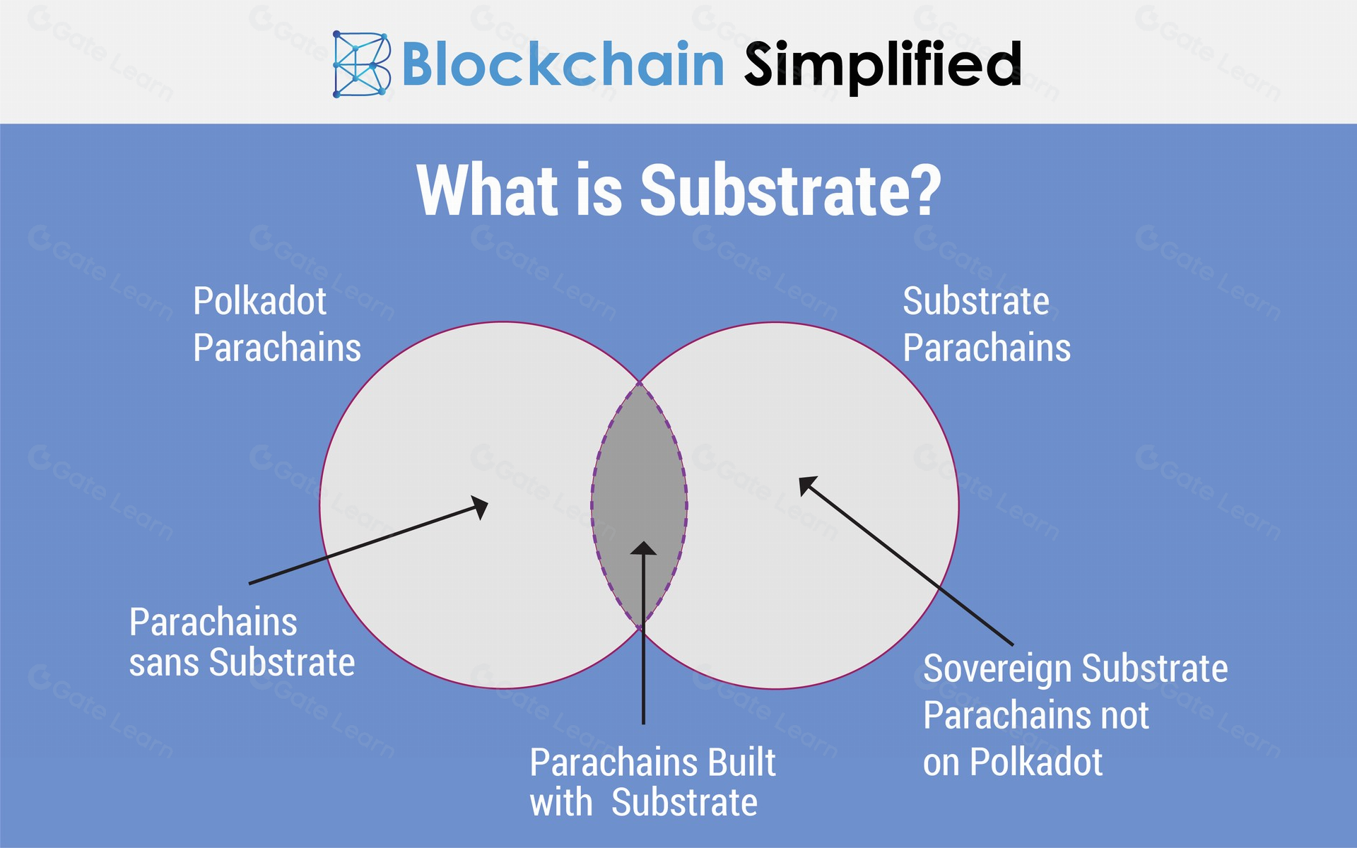 Substrate框架入门指南：全面解析区块链开发核心技术
