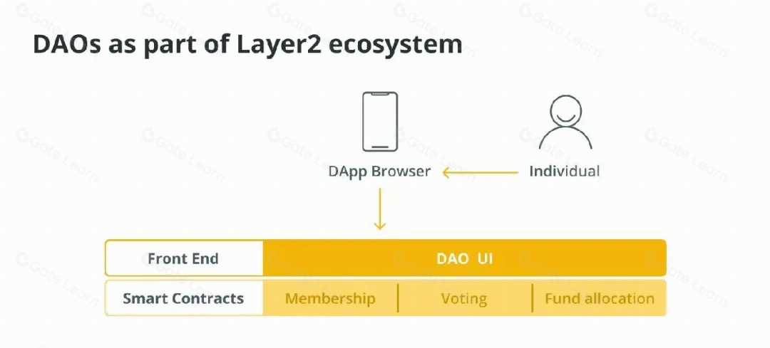 Web3.0 DAO完全指南：类型解析与创建步骤详解