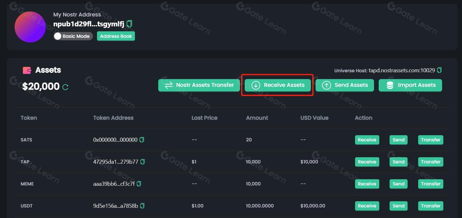 Nostr资产协议全面解析：一文掌握核心概念与应用