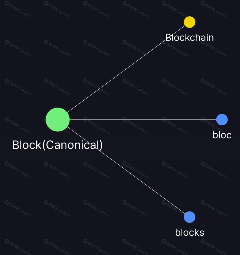 区块链规范区块(Canonical Block)的定义与作用详解