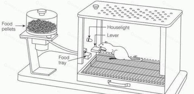 如何避免合约交易中的随机激励陷阱与FOMO情绪