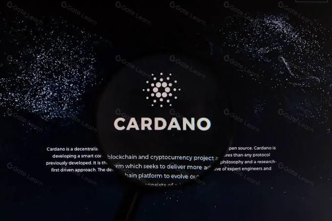 Cardano新技术Warp交易全面解析：优势、应用与未来展望