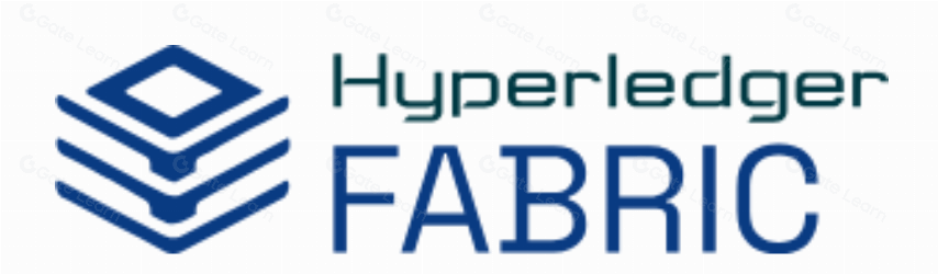 Hyperledger 协议详解：核心概念与应用场景