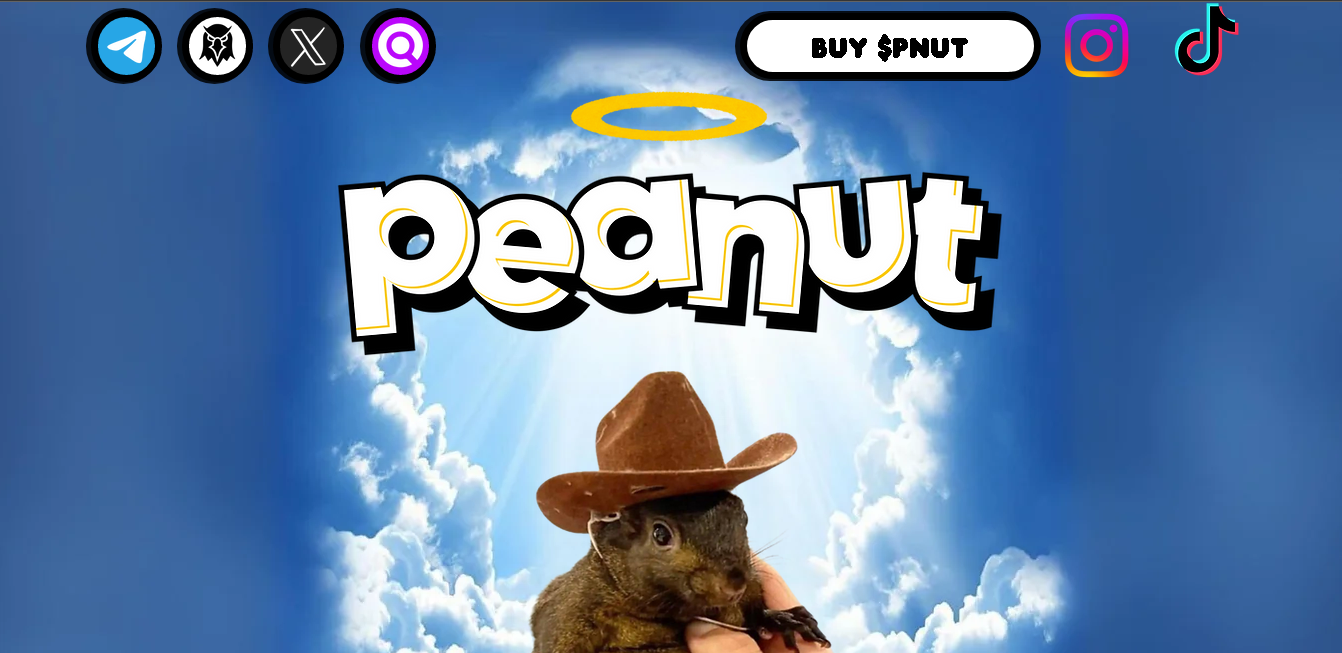 了解Peanut the Squirrel和PNUT代币：区块链项目全解析