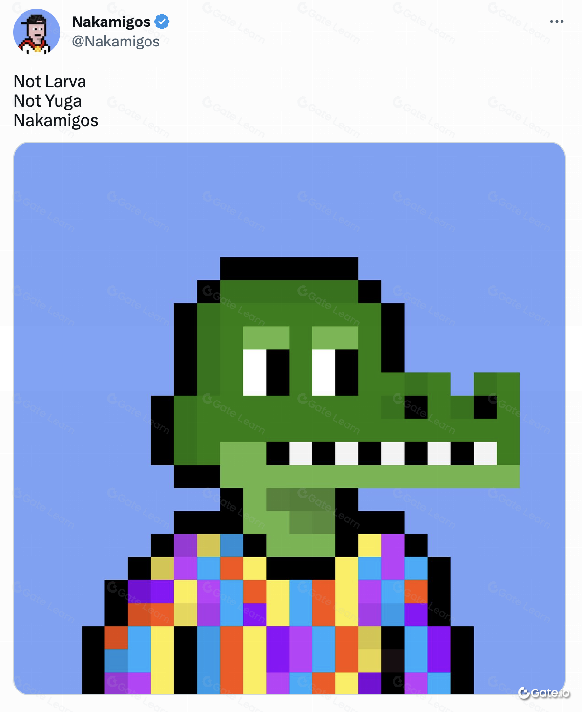 Nakamigos是什么？全面解析Nakamigos项目及其特点