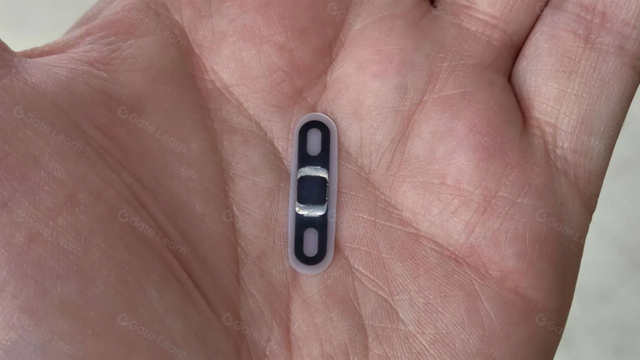 TON生态Meme币热潮：SATS持续领涨引爆加密市场