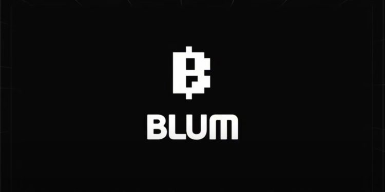 揭秘BLUM：区块链新星的崛起与背景解析