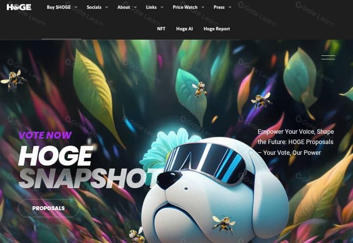 Hoge Finance：探索终极通缩型DeFi迷因币的投资潜力