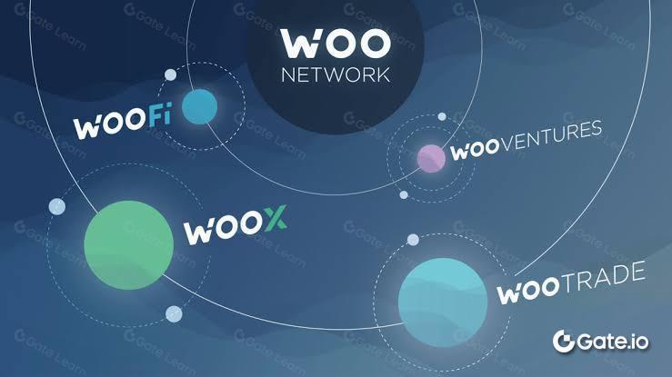 WOO 网络是什么 区块链技术解析与优势介绍