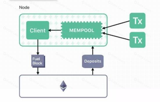 Fuel区块链：UTXO模型与并行交易执行模块化执行层解析