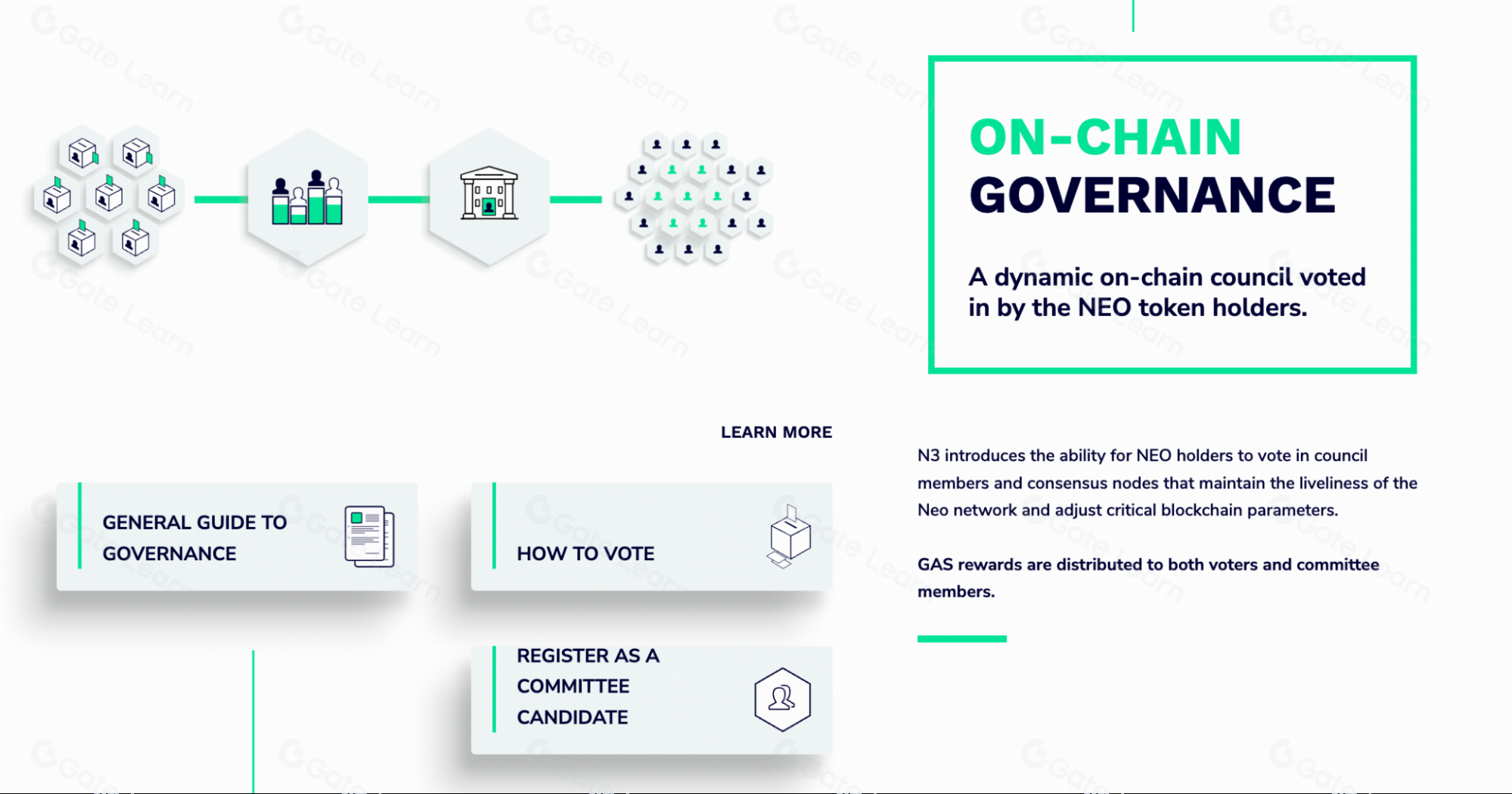 Neo (NEO & GAS) 是什么？全面解析NEO区块链及其代币