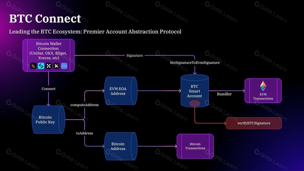 BTC L2 Summer即将到来？全面解析主流比特币二层协议的优势与不足