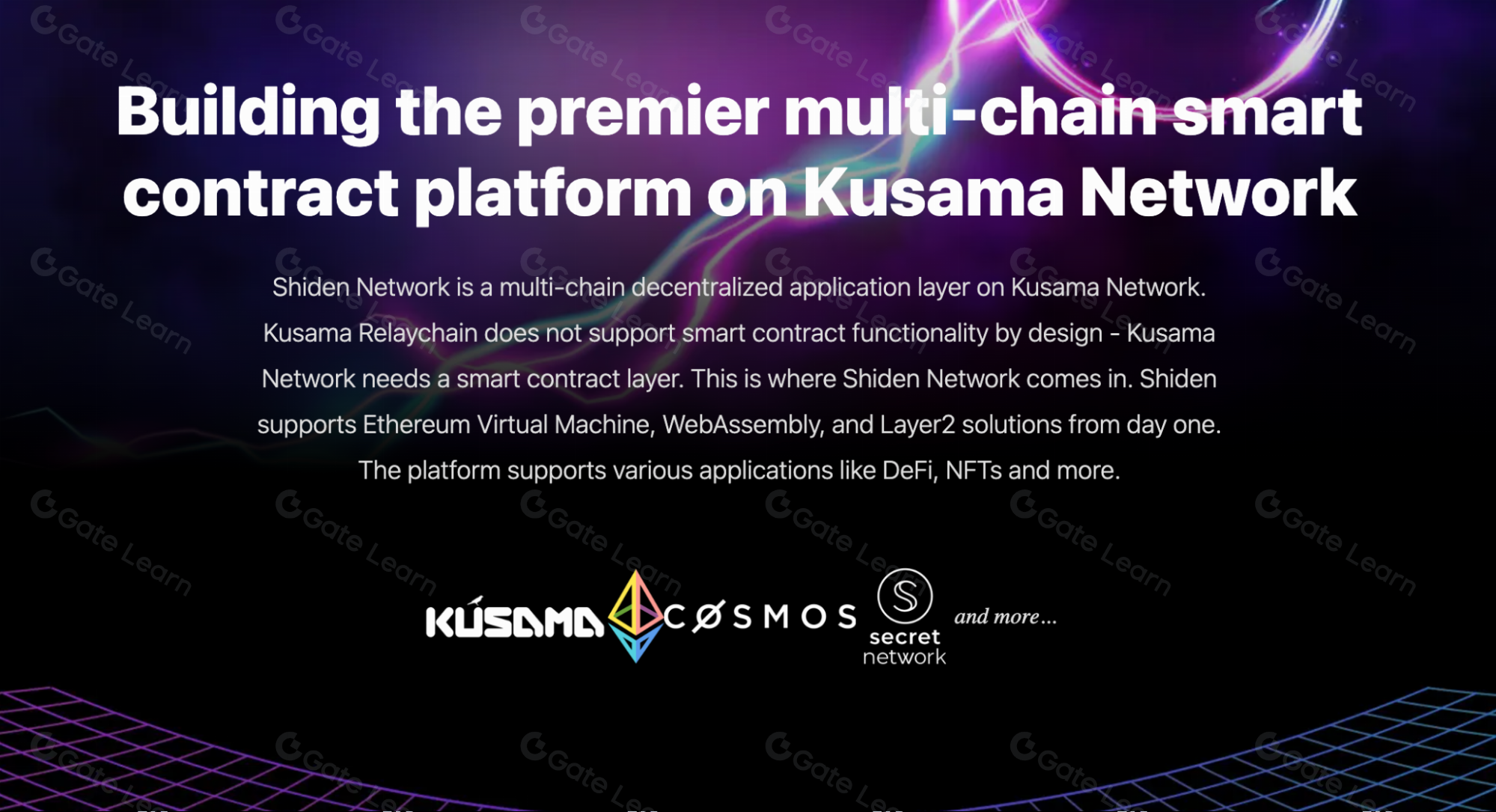 全面解析Shiden Network(SDN)：功能特点与投资价值指南