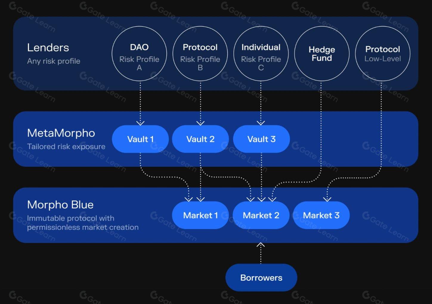 最佳借贷协议 Morpho 全面解析与使用指南