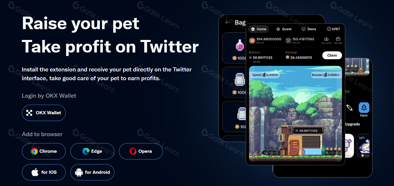 xPET是什么？全面解析xPET的功能与优势