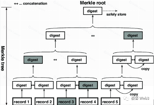 Plasma为何不支持智能合约？数据扣留与欺诈证明的深层解析