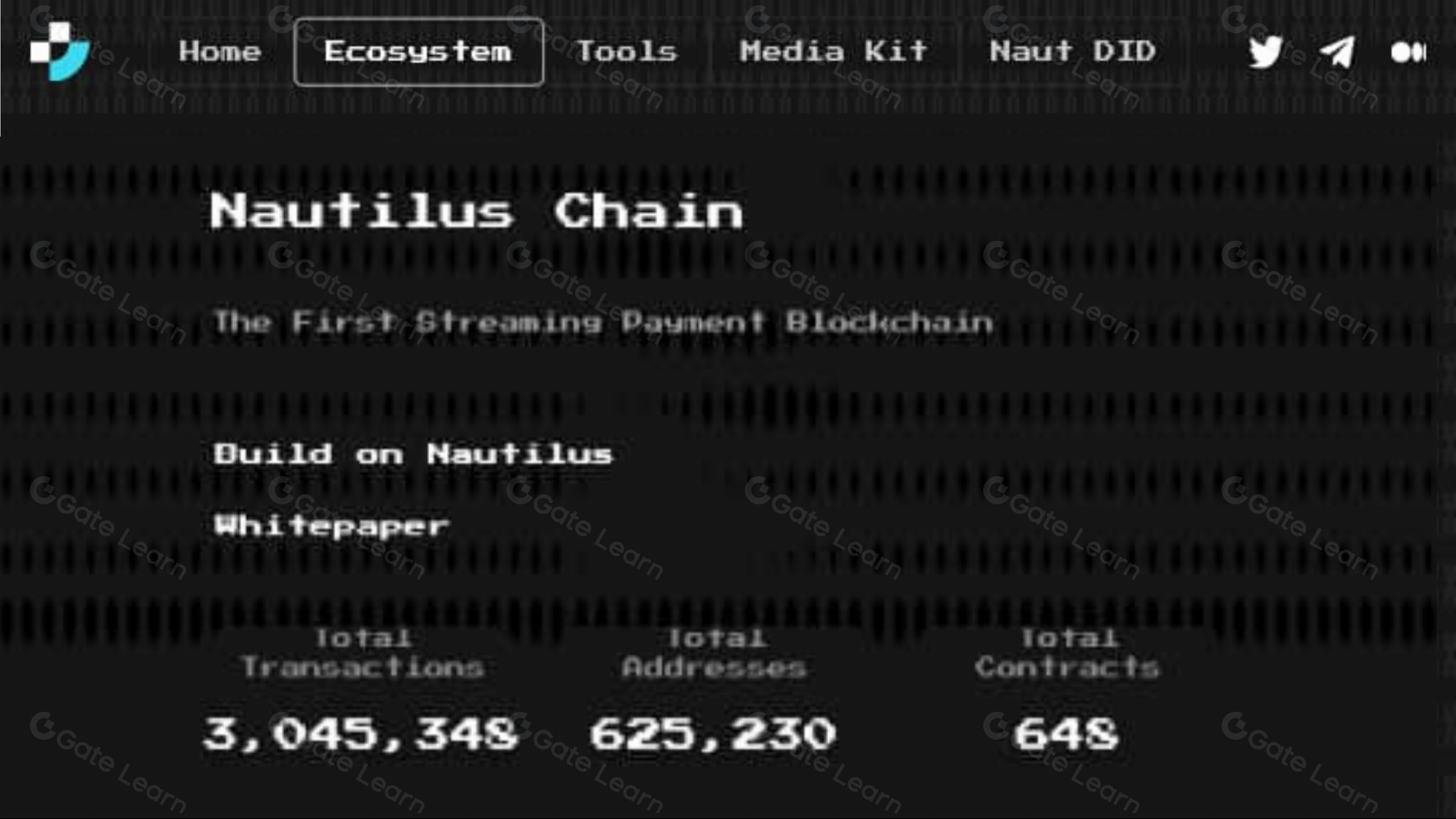 Nautilus链是什么？全面解析其特点与优势