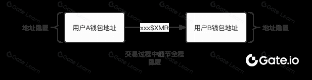 Monero (XMR) 是什么?全面解析隐私加密货币