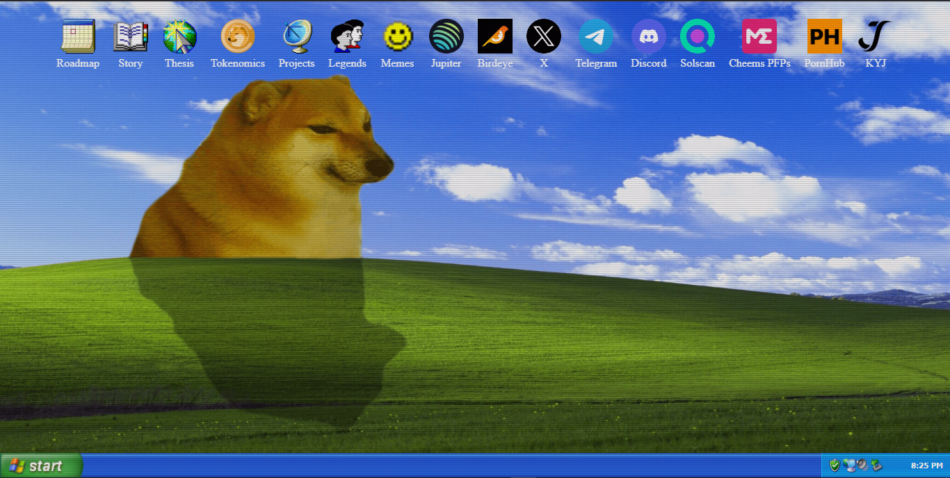 Chems是什么？了解Chems币的特点和未来发展