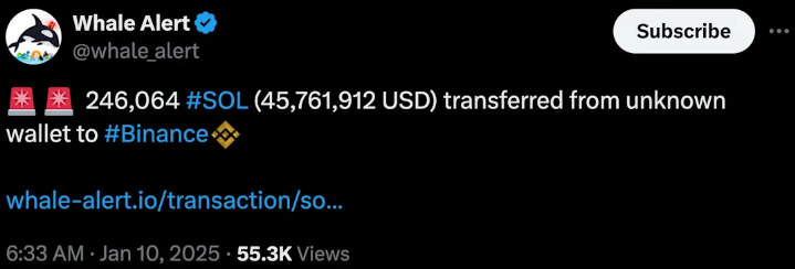 鲸鱼警报如何影响交易决策？揭秘其信号价值